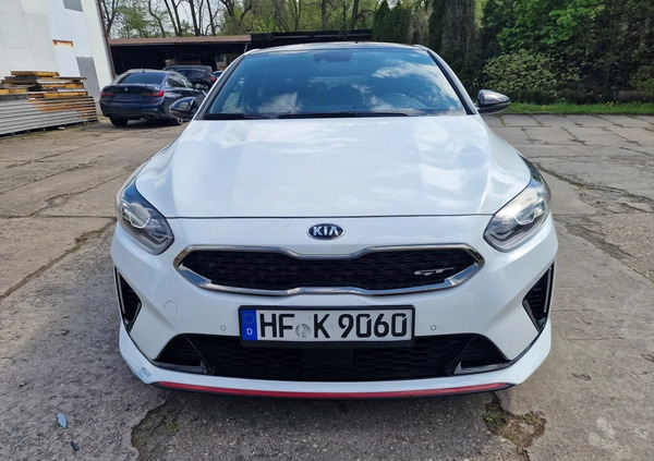 Kia Pro_cee'd cena 79700 przebieg: 54700, rok produkcji 2022 z Gołańcz małe 106